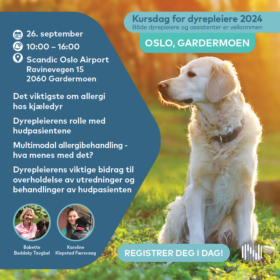 Vet Nurse NO 09-26-2024 Oslo Sign up