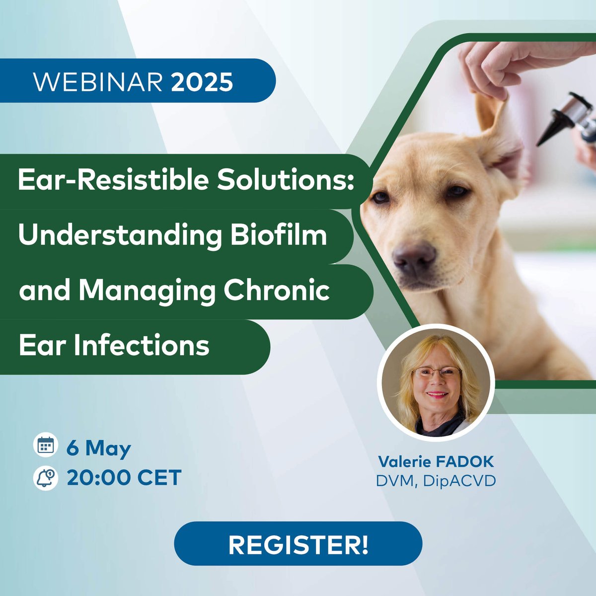 Vignette_webinaire Valerie Fadok_03.25v2